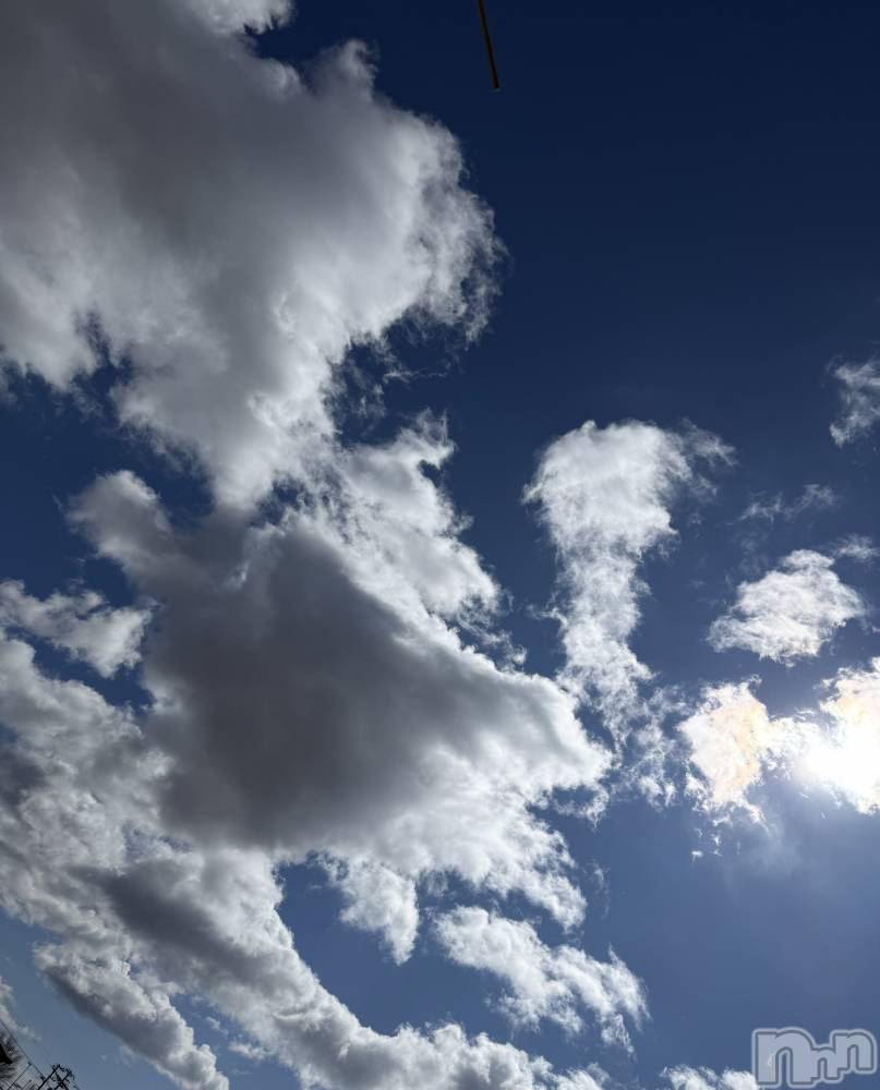 ��Į����Х��顦����֥���� �ץ���� ����(����� �ץ���� ������) ���ߤ���3��12���̥�֥����֡���