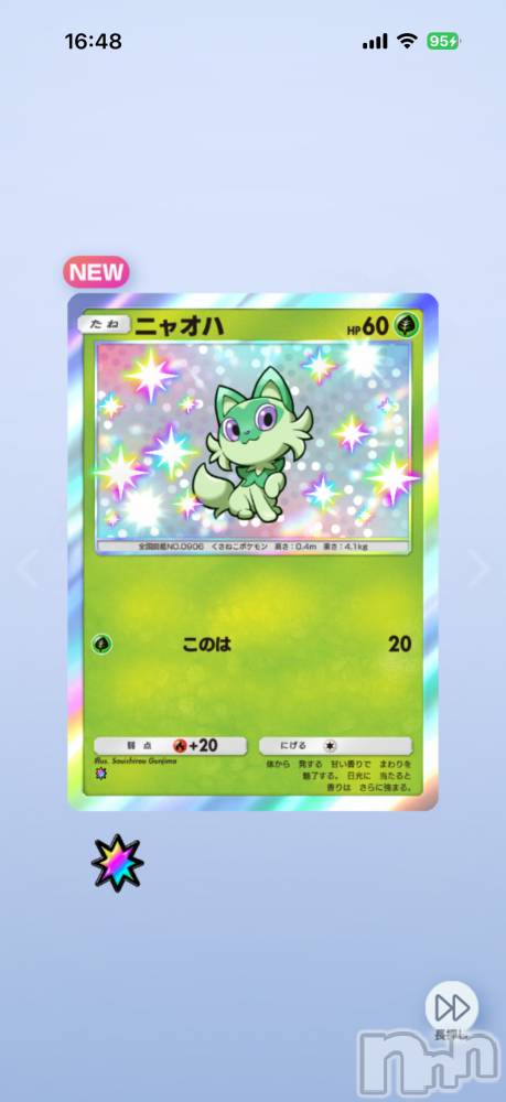 ��Į����Х��顦����֥���� �ץ���� ����(����� �ץ���� ������) ���ߤ���3��16���̥�֥����֡���