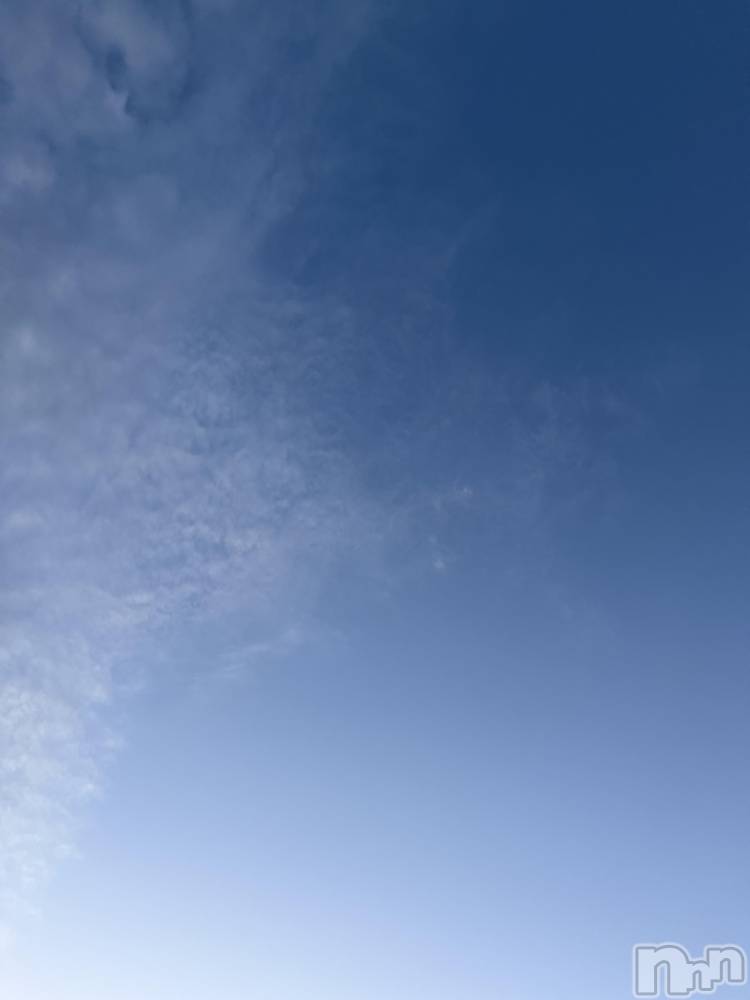 ��Į����Х��顦����֥���� �ץ���� ����(����� �ץ���� ������) ���ߤ���3��20���̥�֥����֡���