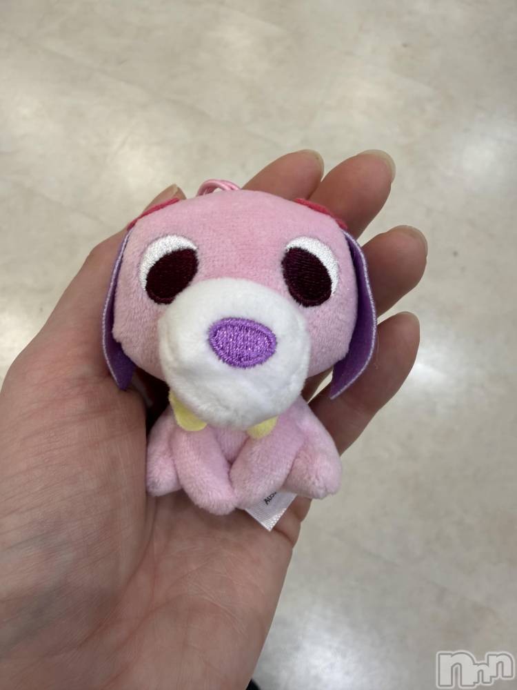 ��Į����Х��顦����֥���� �ץ���� ����(����� �ץ���� ������) ���ߤ���3��23���̥�֥����֡���