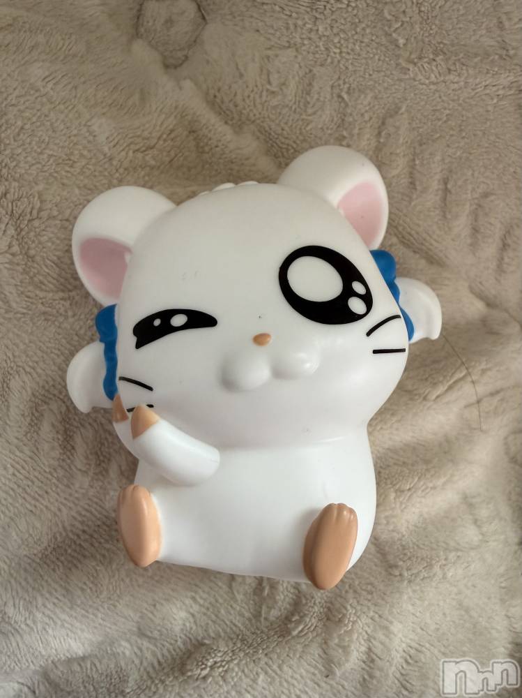 ��Į����Х��顦����֥���� �ץ���� ����(����� �ץ���� ������) ���ߤ���3��24���̥�֥����֡���