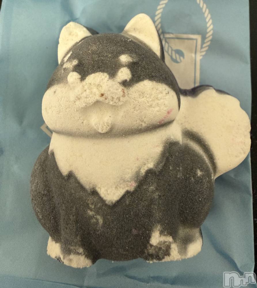 ��Į����Х��顦����֥���� �ץ���� ����(����� �ץ���� ������) ���ߤ���3��25���̥�֥����֡���