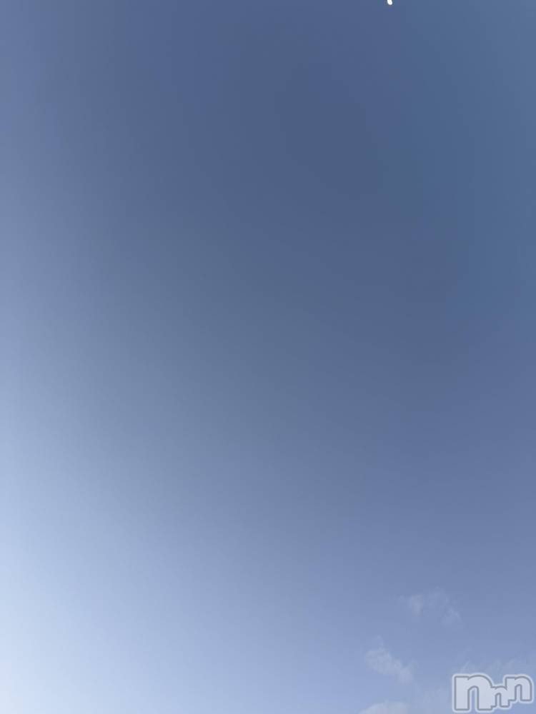 ��Į����Х��顦����֥���� �ץ���� ����(����� �ץ���� ������) ���ߤ���3��28���̥�֥����֡���