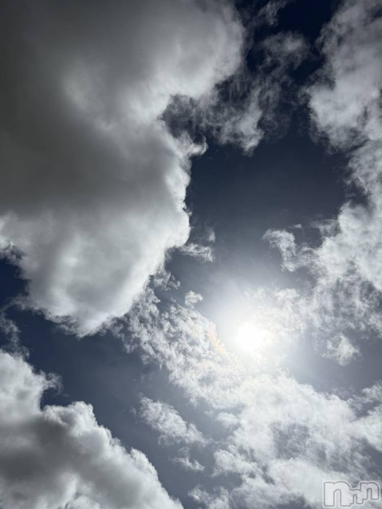 ��Į����Х��顦����֥���� �ץ���� ����(����� �ץ���� ������) ���ߤ���4��4���̥�֥����֡���