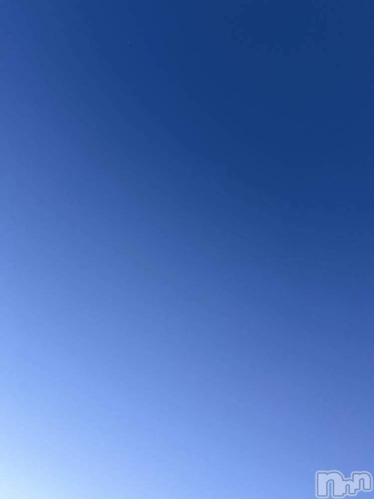 ��Į����Х��顦����֥���� �ץ���� ����(����� �ץ���� ������) ���ߤ���4��6���̥�֥����֡���