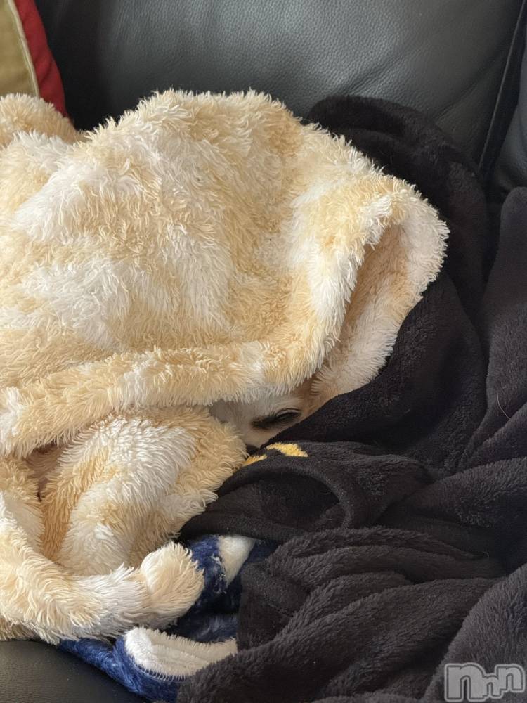 ��Į����Х��顦����֥���� �ץ���� ����(����� �ץ���� ������) ���ߤ���4��28���̥�֥����֡���