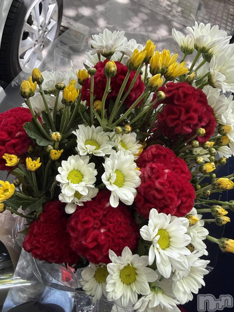 ��Į����Х��顦����֥���� �ץ���� ����(����� �ץ���� ������) ���ߤ���8��11���̥�֥����֡���