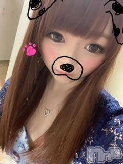 ĮХ顦֥ ץ ( ץ ) ߤ112ִ̥֥