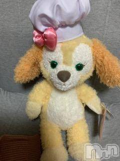 ĮХ顦֥ ץ ( ץ ) ߤ115̥֥֥ߥ󥰡