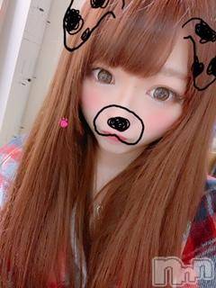 ĮХ顦֥ ץ ( ץ ) ߤ116̥֥֡