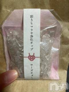 ĮХ顦֥ ץ ( ץ ) ߤ110̥֥֡