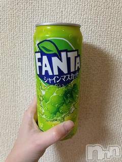 ĮХ顦֥ ץ ( ץ ) ߤ716̥֥֡