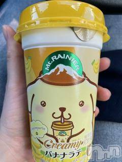 ĮХ顦֥ ץ ( ץ ) ߤ817̥֥֡