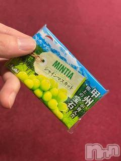 ĮХ顦֥ ץ ( ץ ) ߤ99̥֥֡