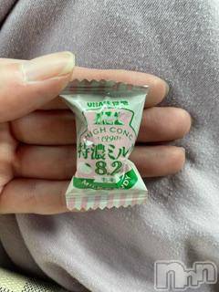 ĮХ顦֥ ץ ( ץ ) ߤ919̥֥֡