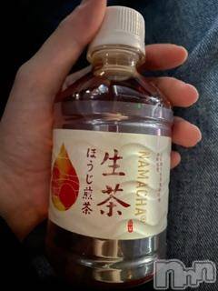 ĮХ顦֥ ץ ( ץ ) ߤ117̥֥֡