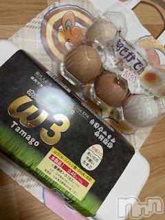 ĮХ顦֥ ץ ( ץ ) ߤ125̥֥֡