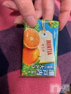 ĮХ顦֥ ץ ( ץ ) ߤ125̥֥֡