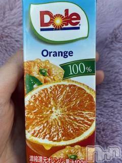 ĮХ顦֥ ץ ( ץ ) ߤ12̥֥֡