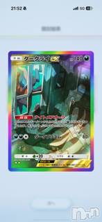 ĮХ顦֥ ץ ( ץ ) ߤ225̥֥֡