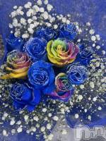 ĮХ顦֥ ץ ( ץ ) ߤ1121̥֥֡