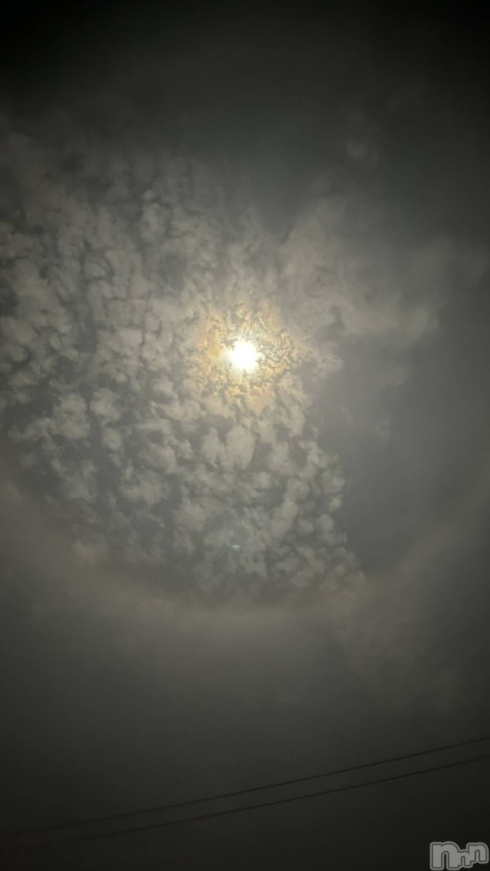 ĮХ顦֥ ץ ( ץ ) 2025ǯ911̥֥֡