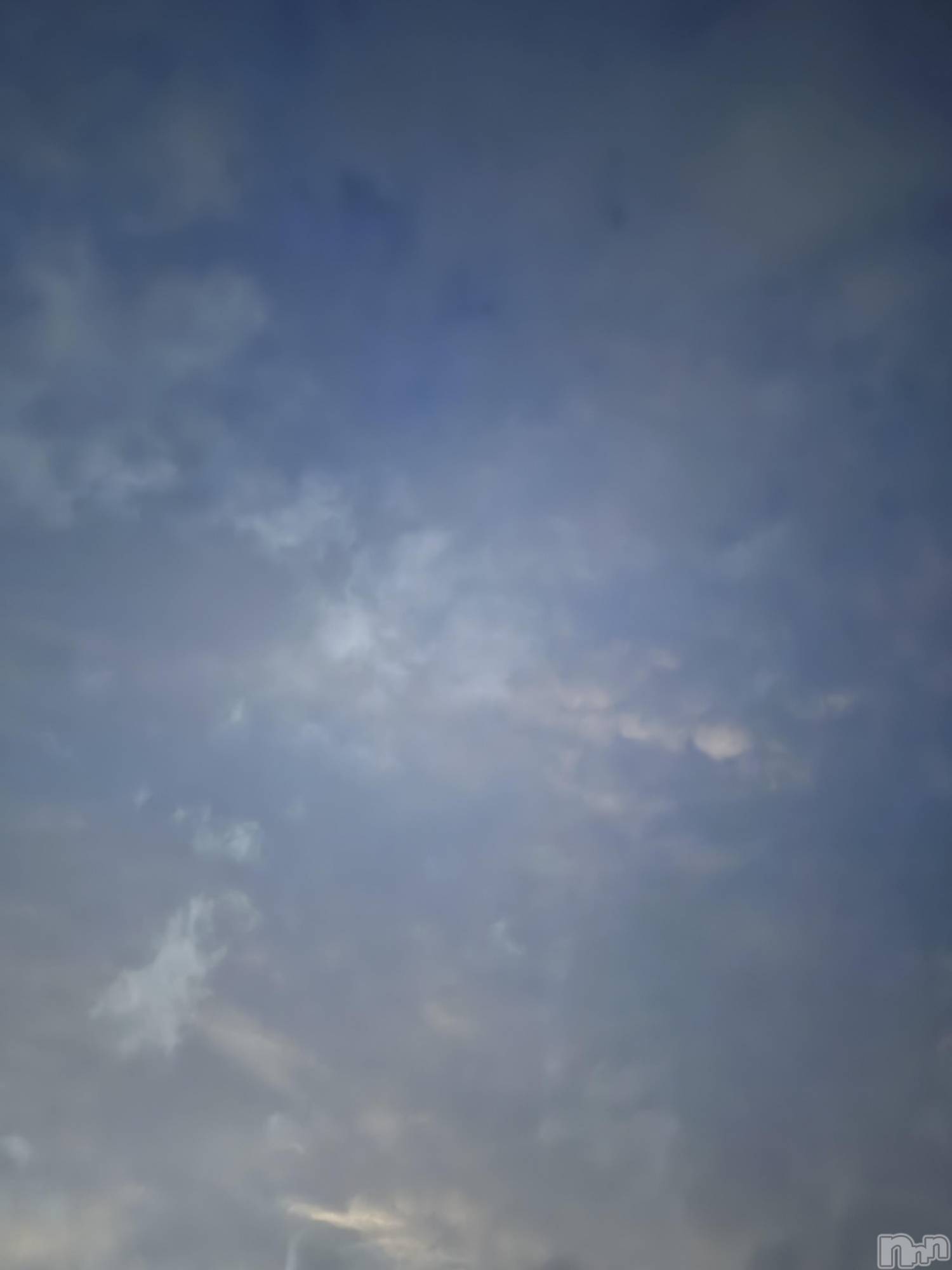 ĮХ顦֥ ץ ( ץ ) 2025ǯ918̥֥֡