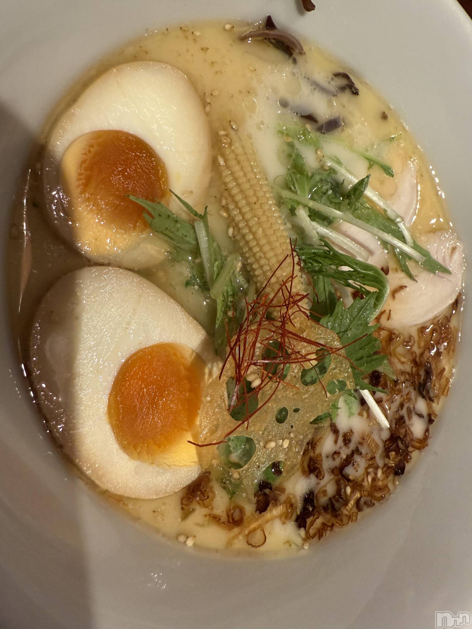 ĮХ顦֥ ץ ( ץ ) 2025ǯ109̥֥֡