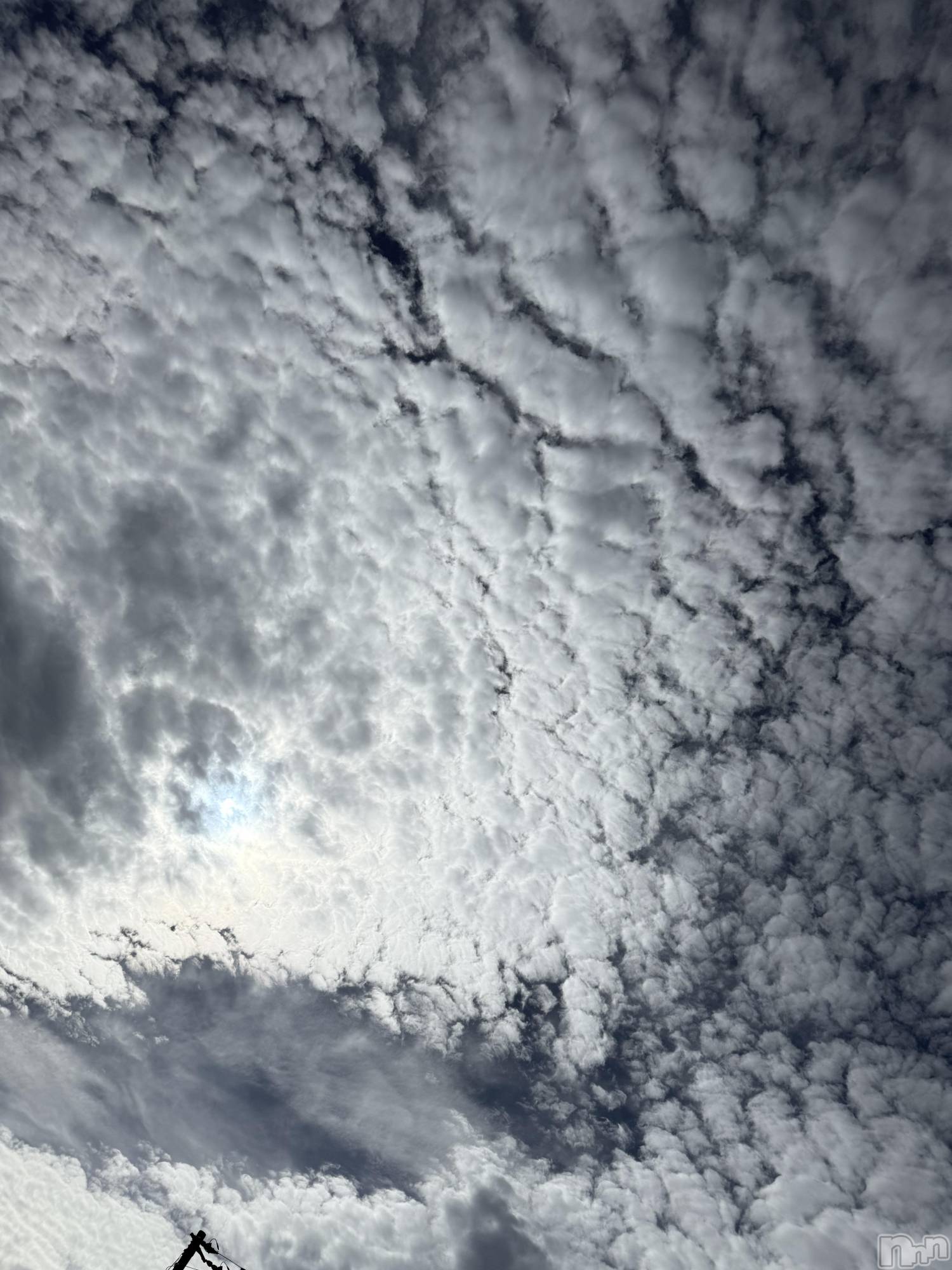 ĮХ顦֥ ץ ( ץ ) 2025ǯ1018̥֥֡