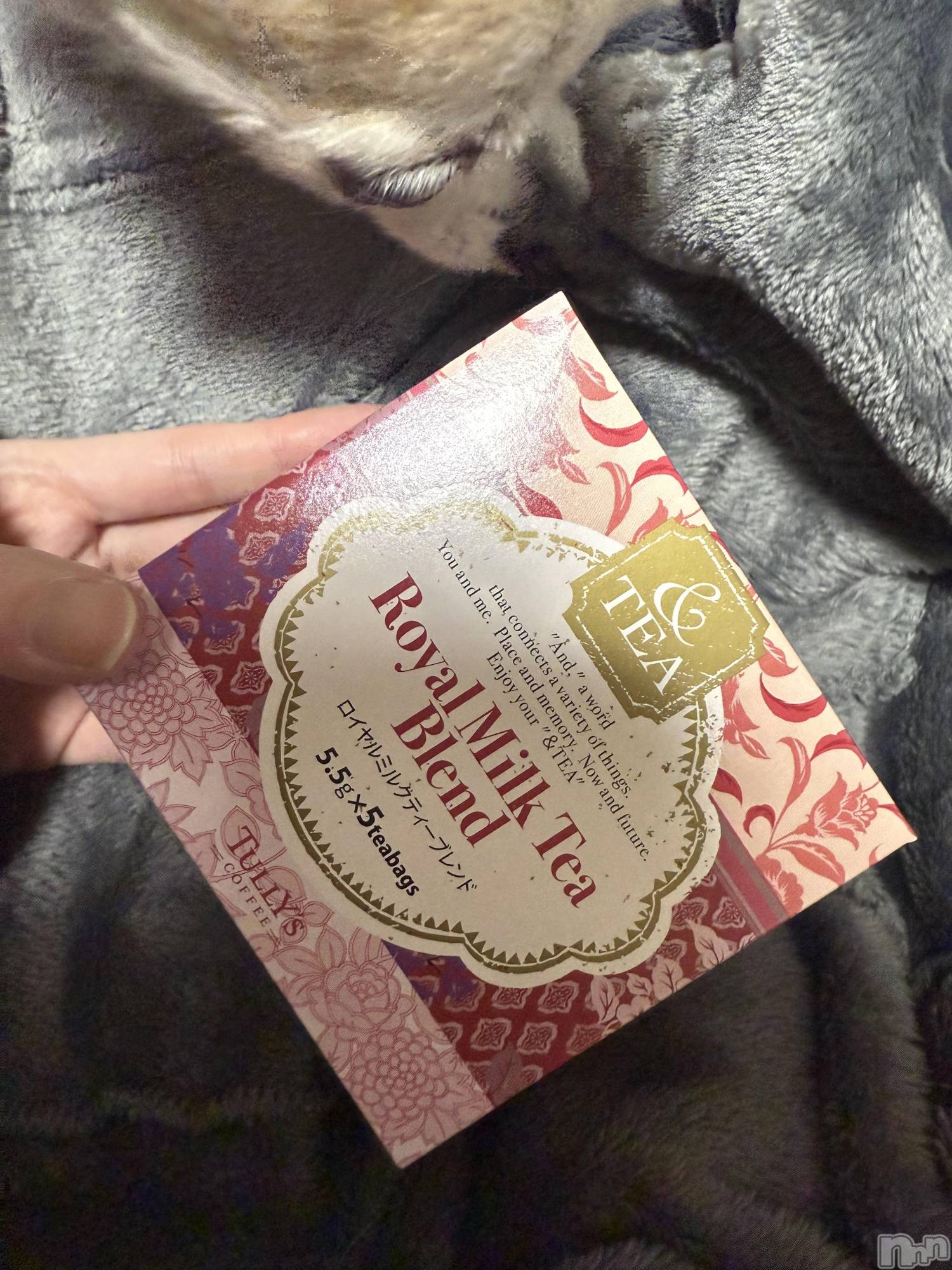 ĮХ顦֥ ץ ( ץ ) 2025ǯ1022̥֥֡