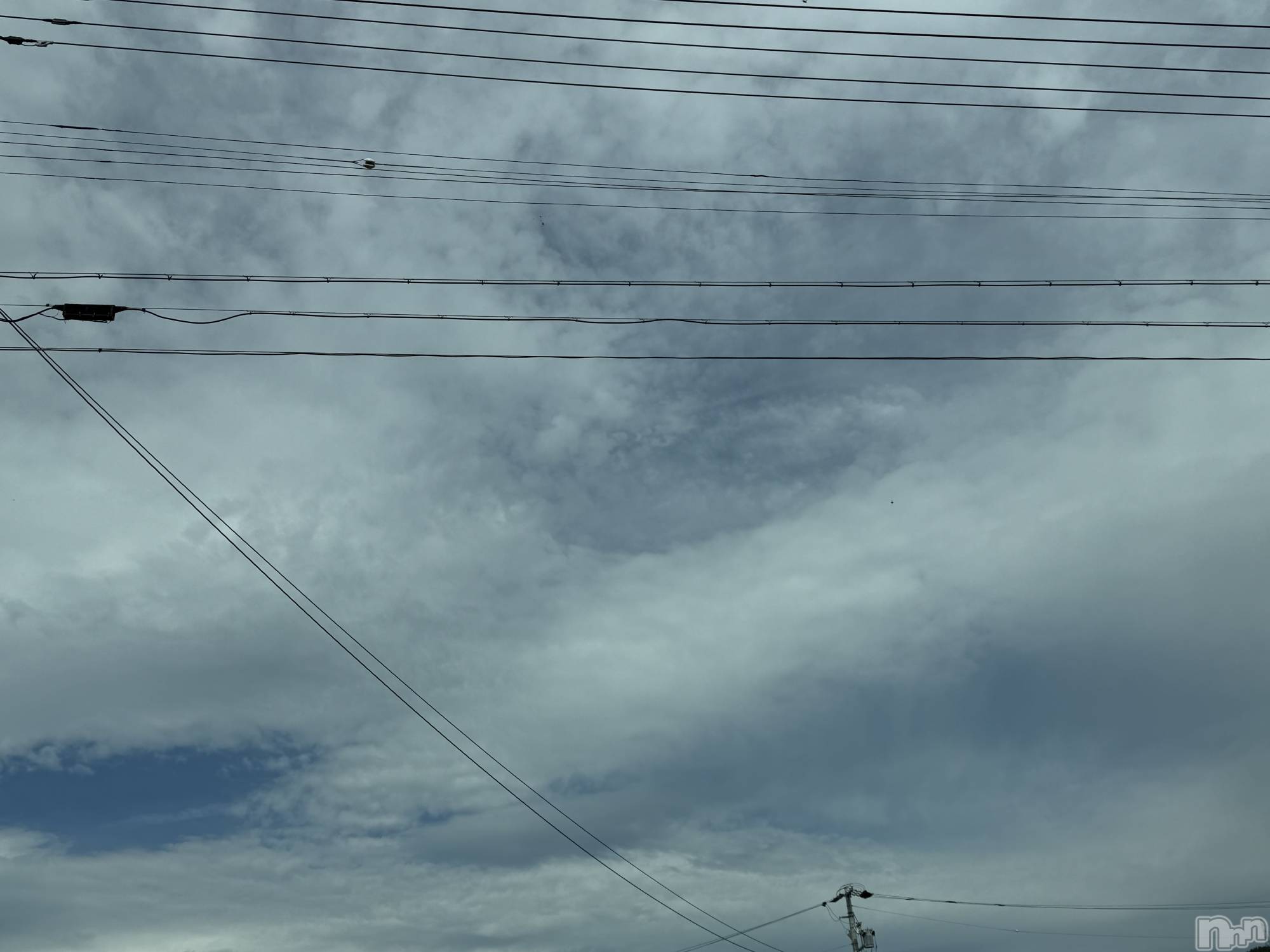 ĮХ顦֥ ץ ( ץ ) 2025ǯ1023̥֥֡