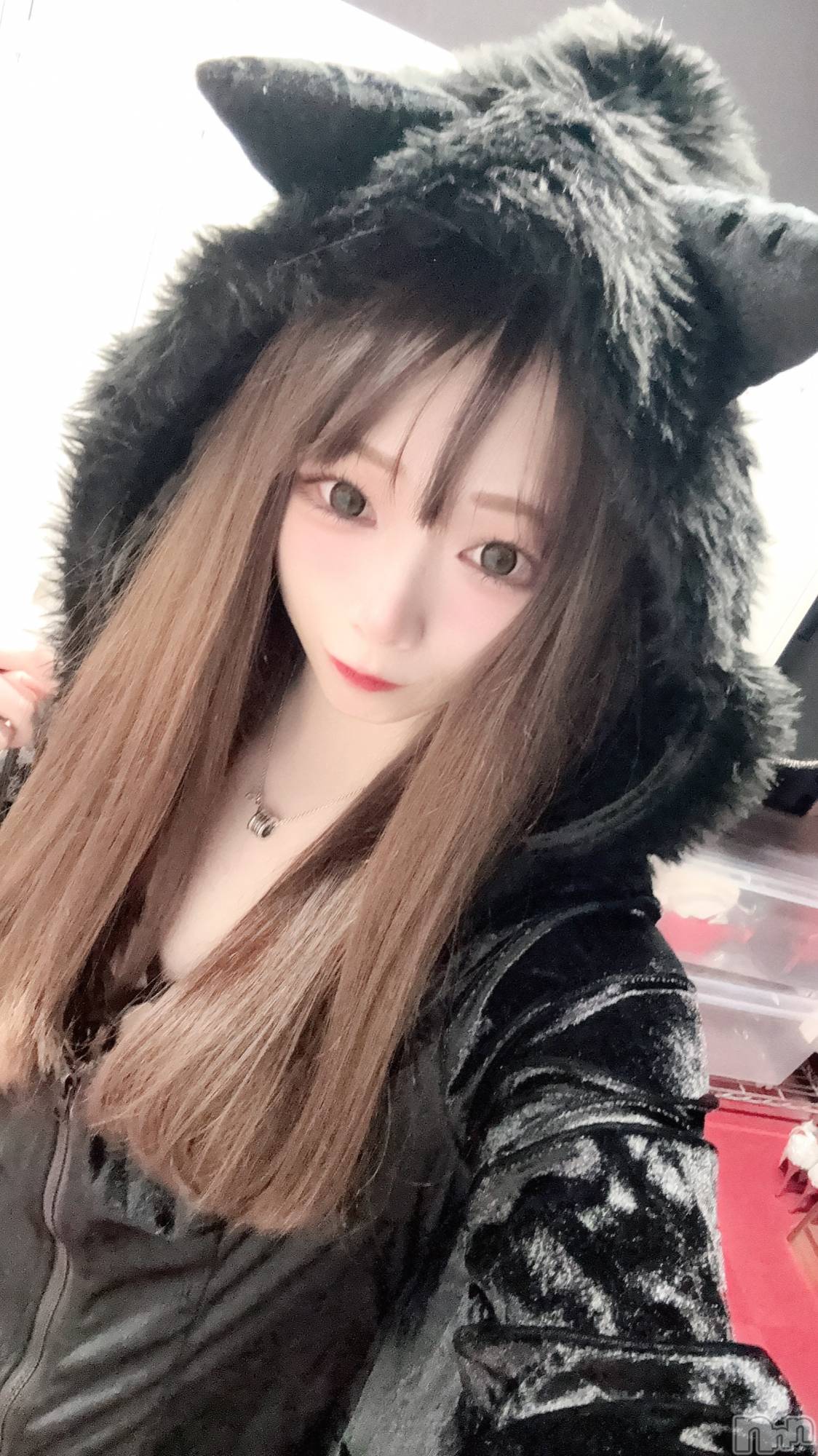 ĮХ顦֥ ץ ( ץ ) 2025ǯ1025̥֥֡