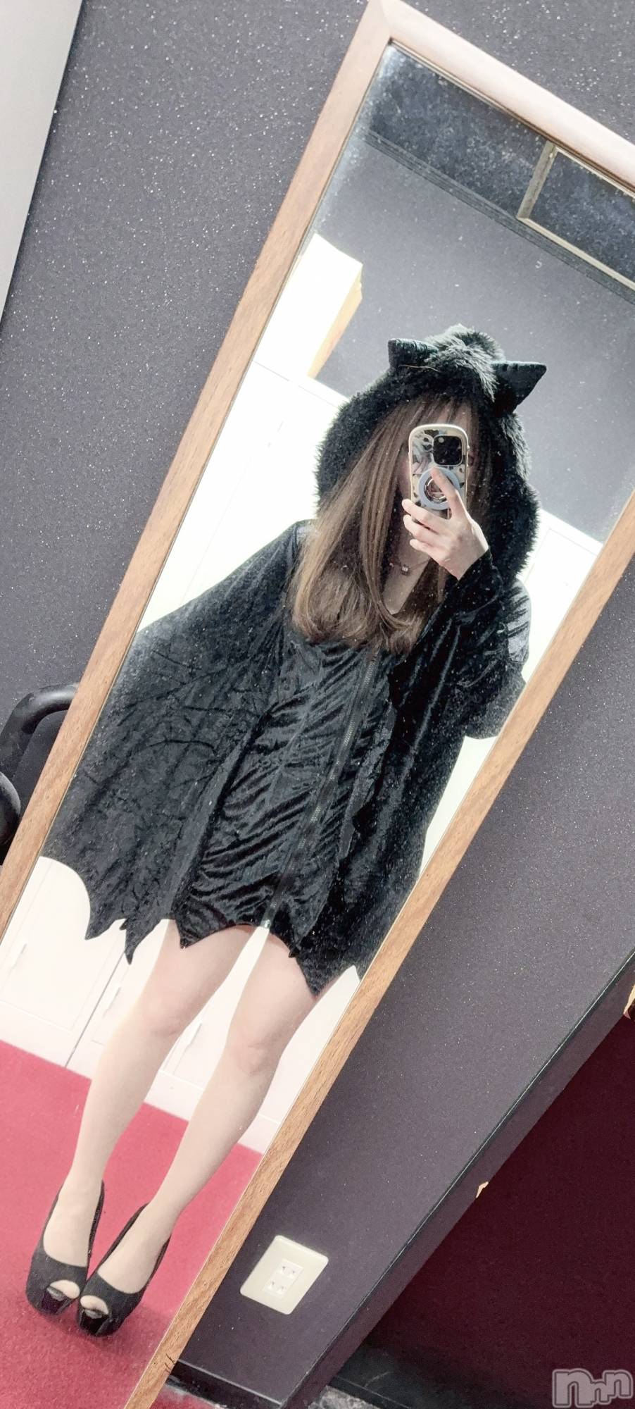 ĮХ顦֥ ץ ( ץ ) 2025ǯ1026̥֥֡