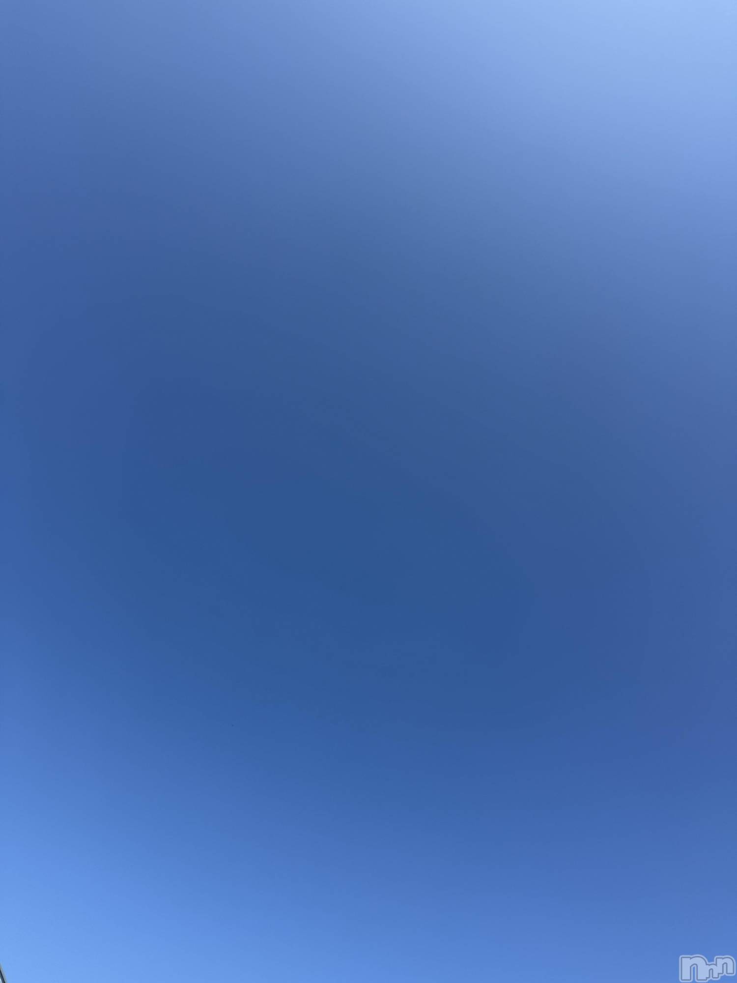 ĮХ顦֥ ץ ( ץ ) 2025ǯ1030̥֥֡