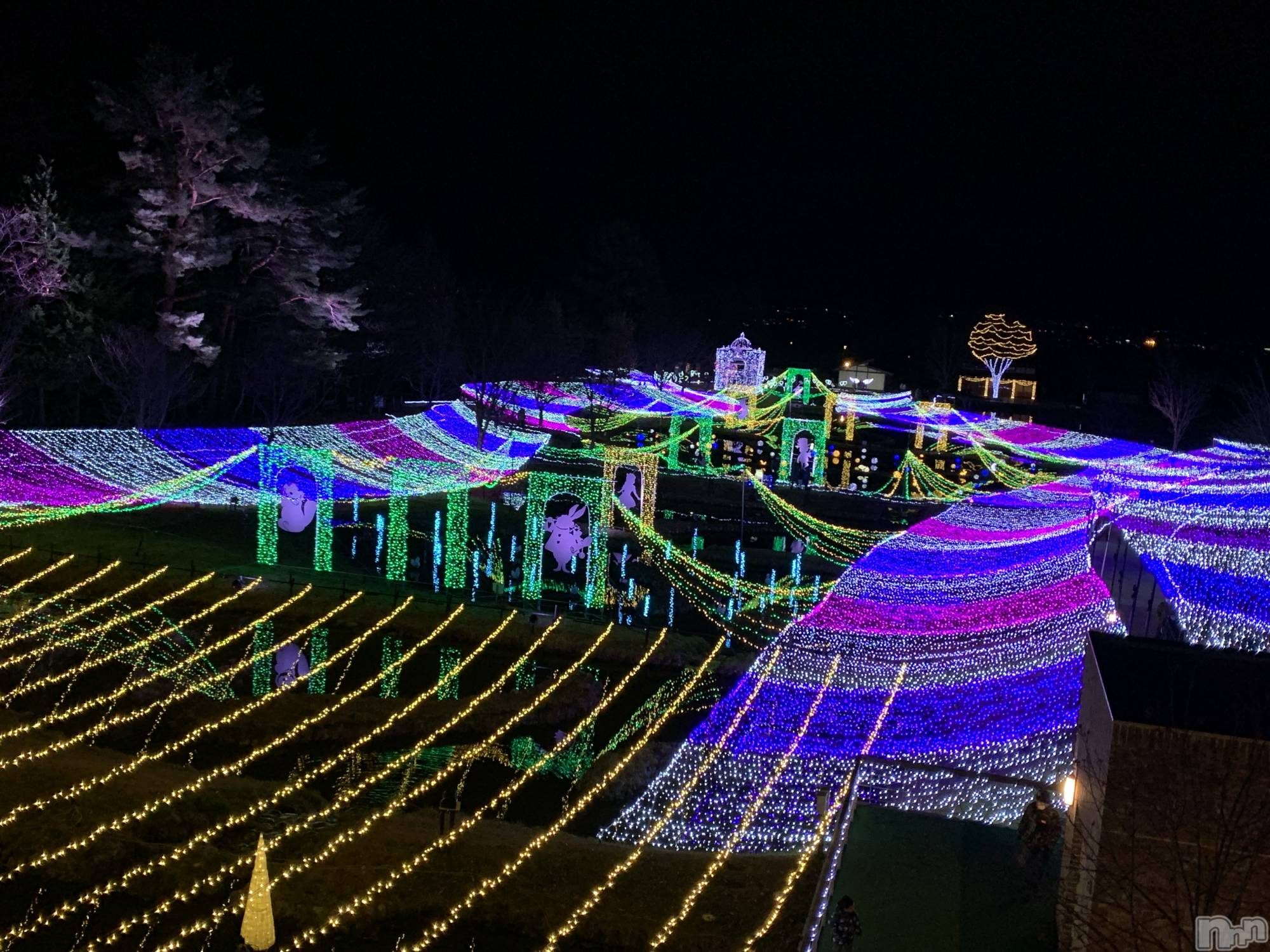 ĮХ顦֥ ץ ( ץ ) 2025ǯ1030̥֥֡