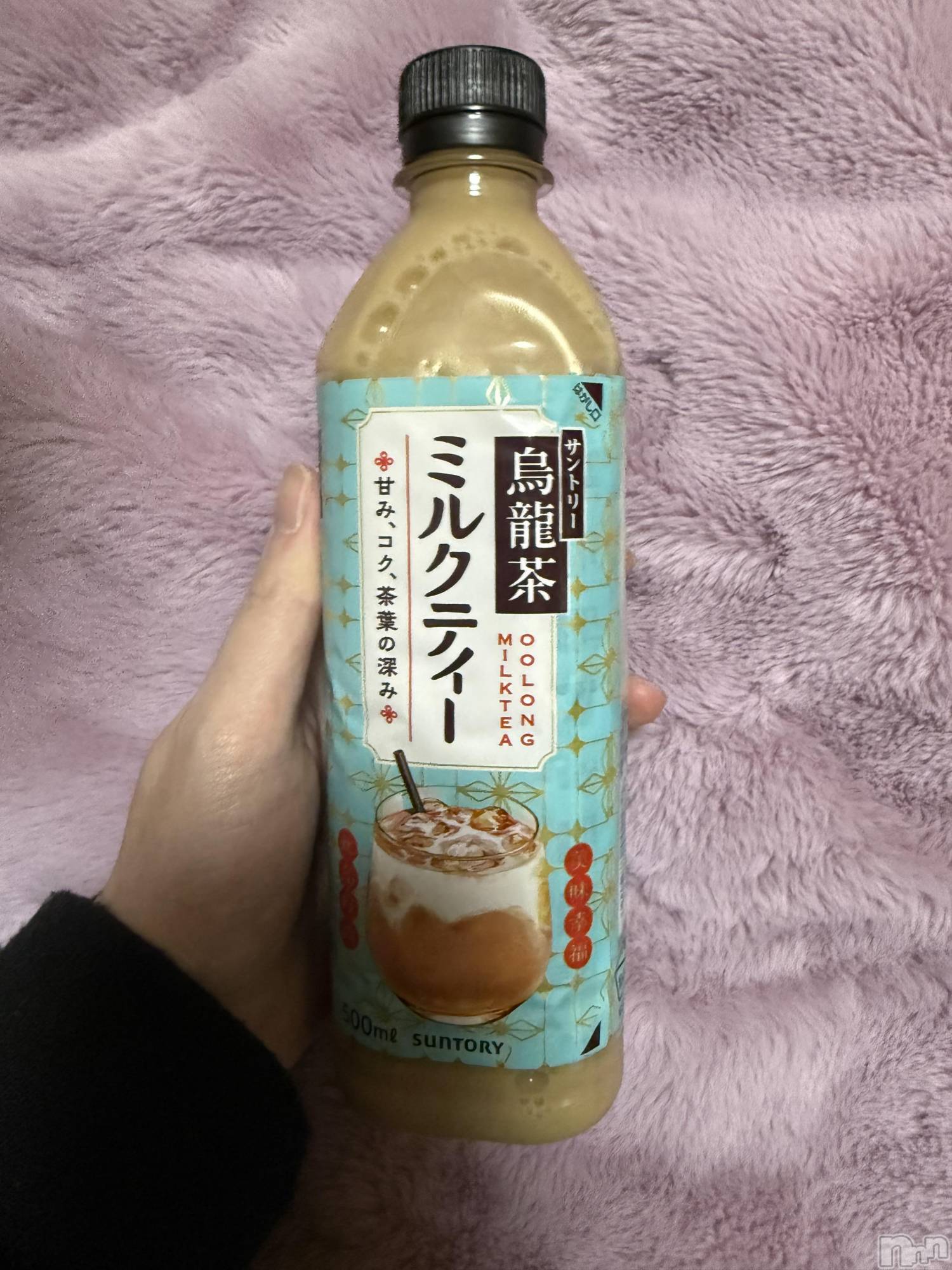 ĮХ顦֥ ץ ( ץ ) 2025ǯ117̥֥֡