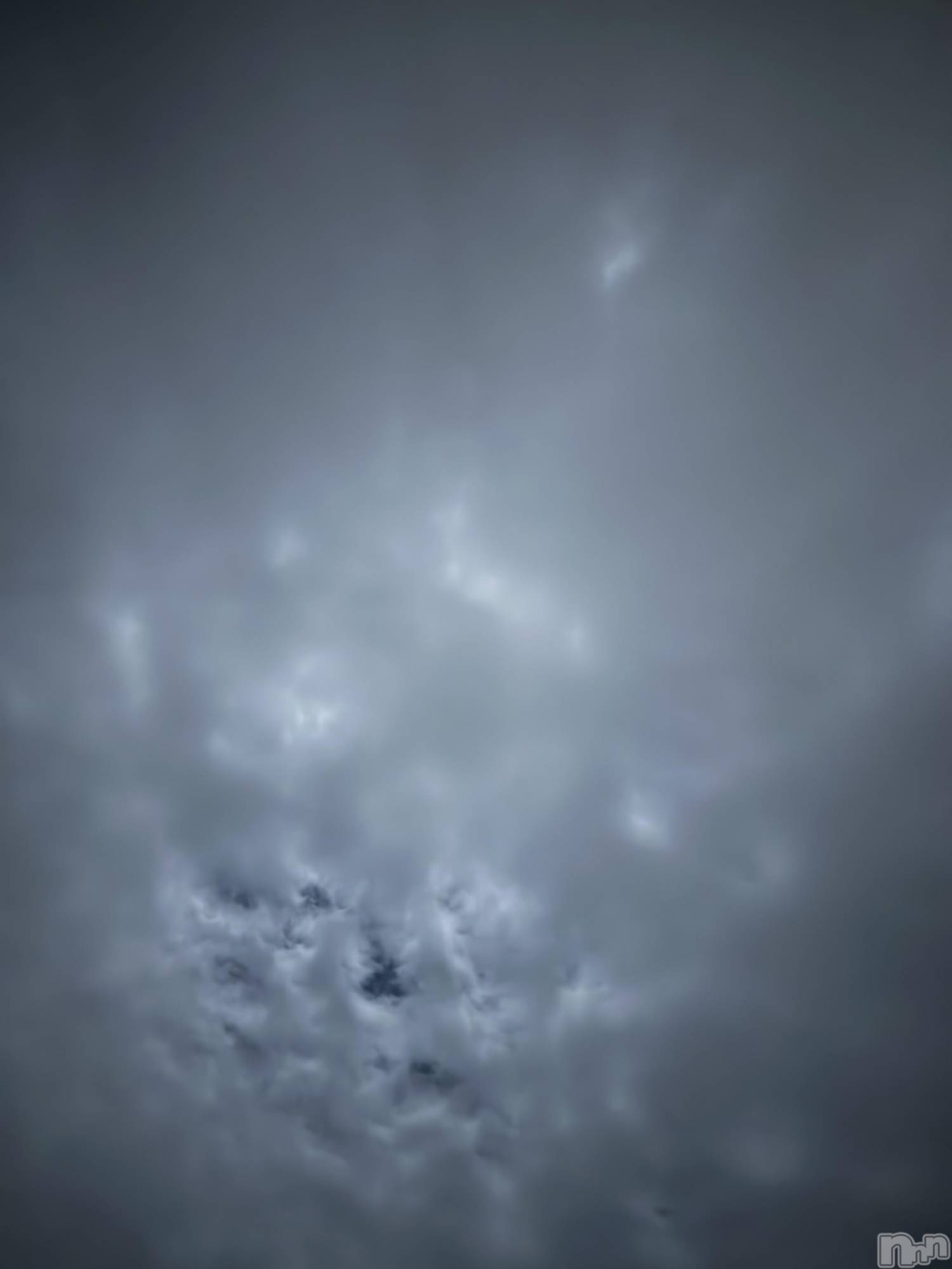 ĮХ顦֥ ץ ( ץ ) 2025ǯ119̥֥֡