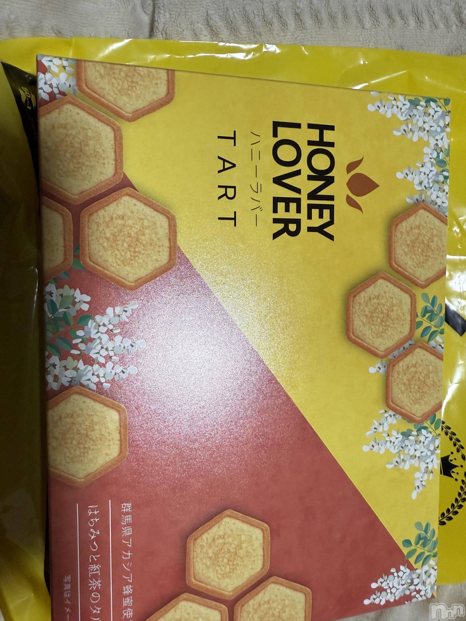 ĮХ顦֥ ץ ( ץ ) 2025ǯ119̥֥֡