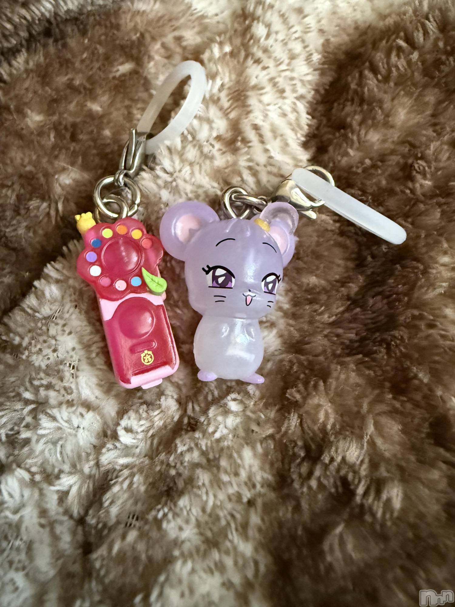 ĮХ顦֥ ץ ( ץ ) 2025ǯ1112̥֥֡