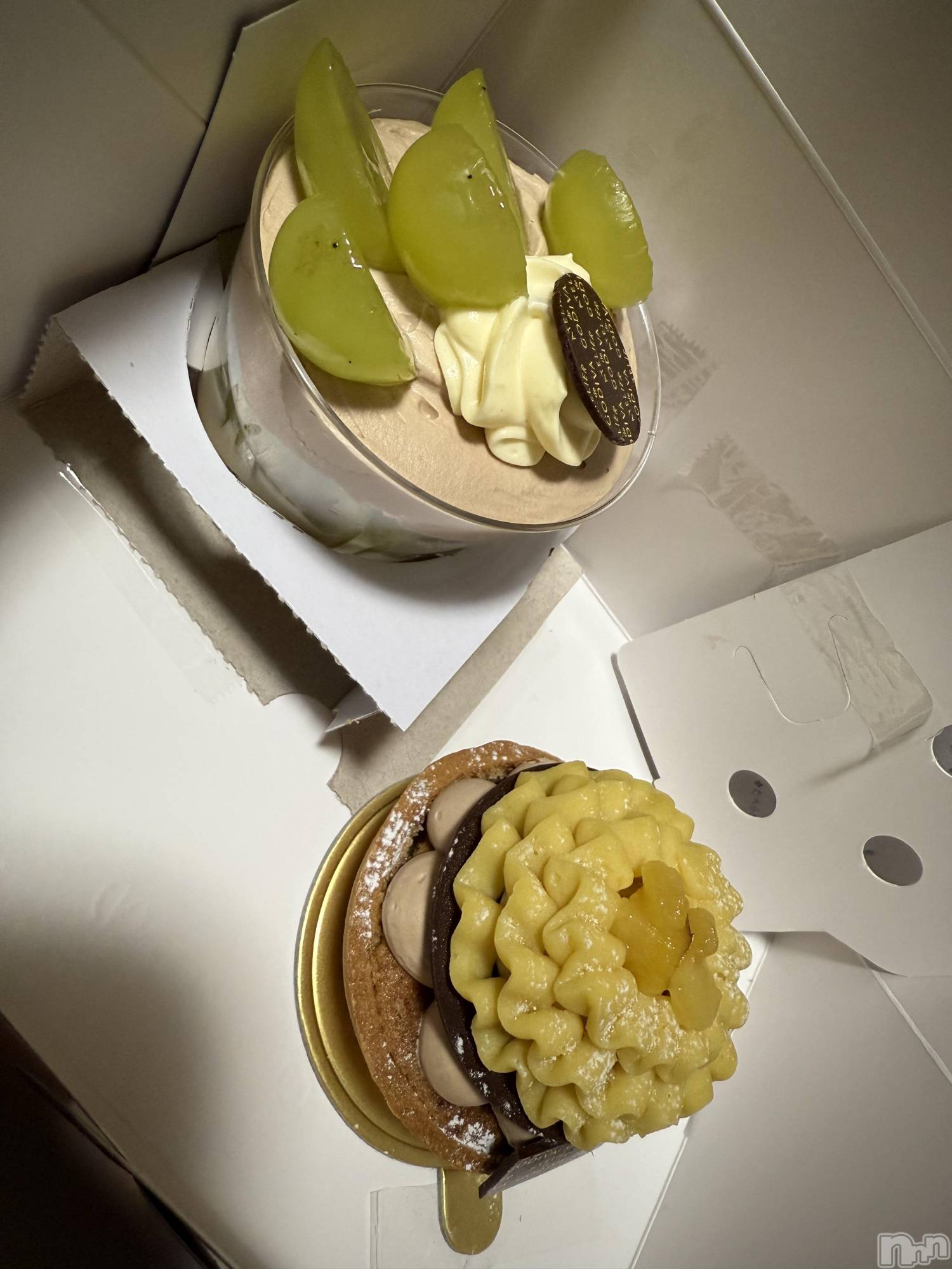 ĮХ顦֥ ץ ( ץ ) 2025ǯ1112̥֥֡