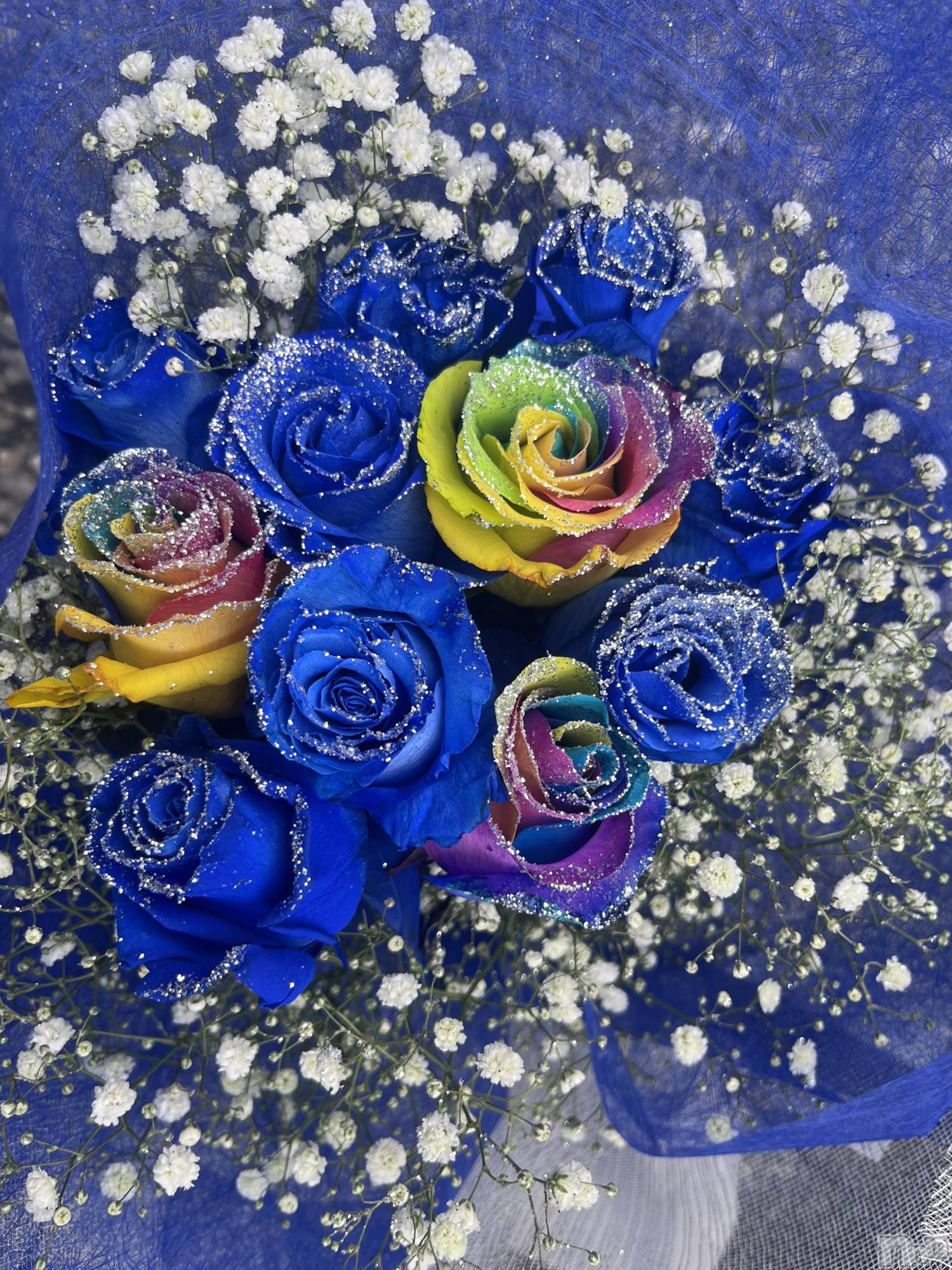 ĮХ顦֥ ץ ( ץ ) 2025ǯ1121̥֥֡