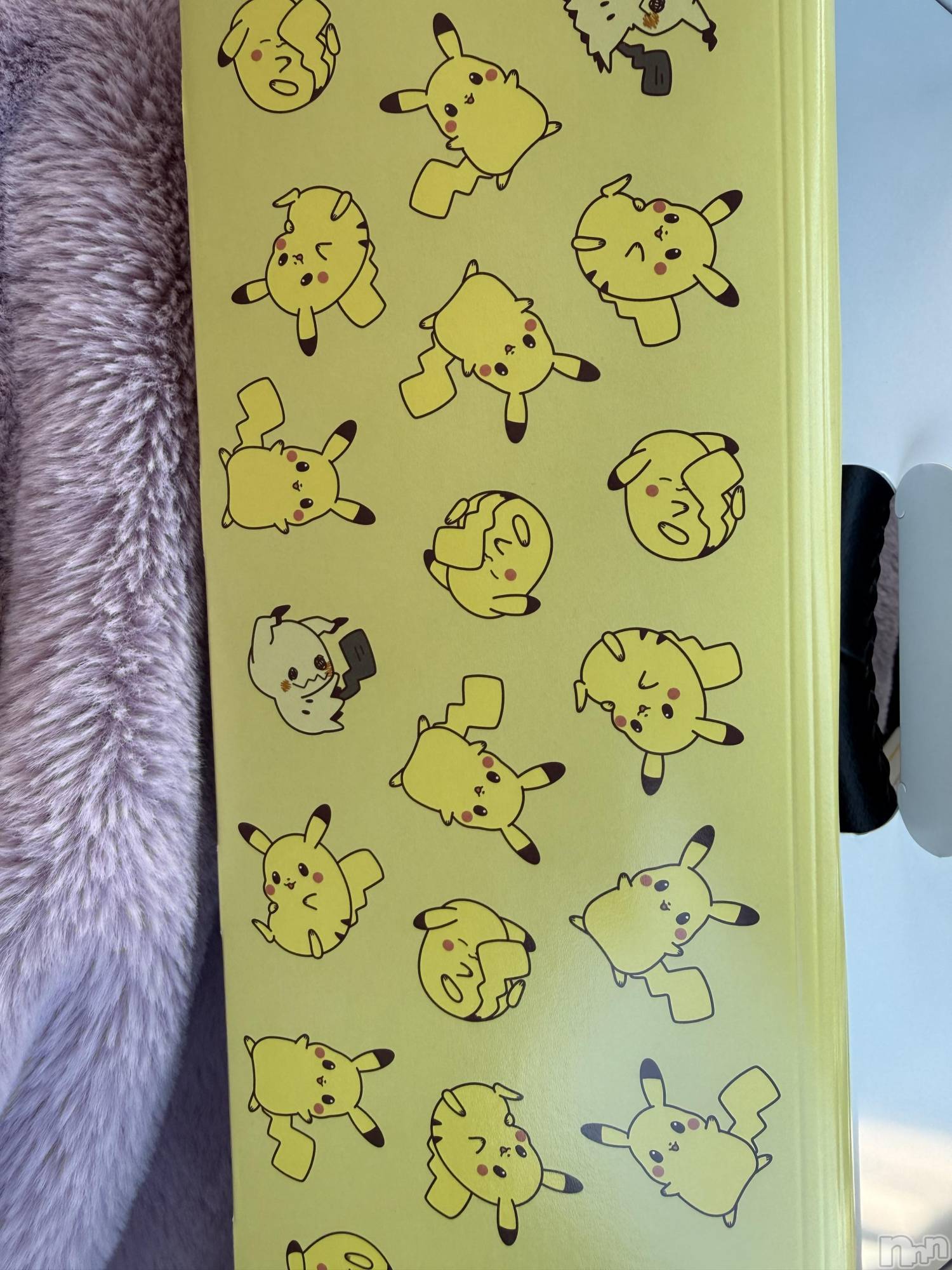 ĮХ顦֥ ץ ( ץ ) 2025ǯ1123̥֥֡