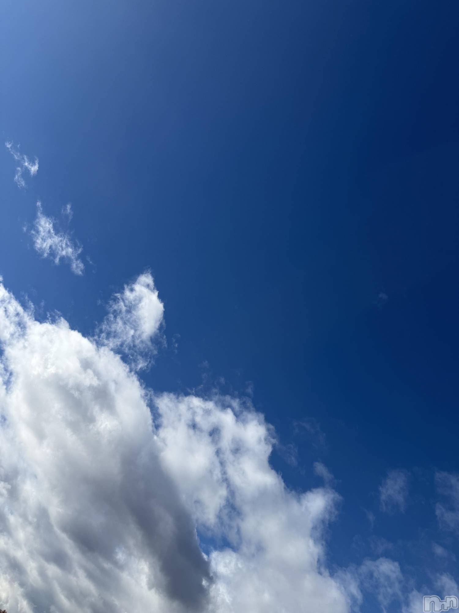 ĮХ顦֥ ץ ( ץ ) 2025ǯ1124̥֥1124 1517ʬΥ֥