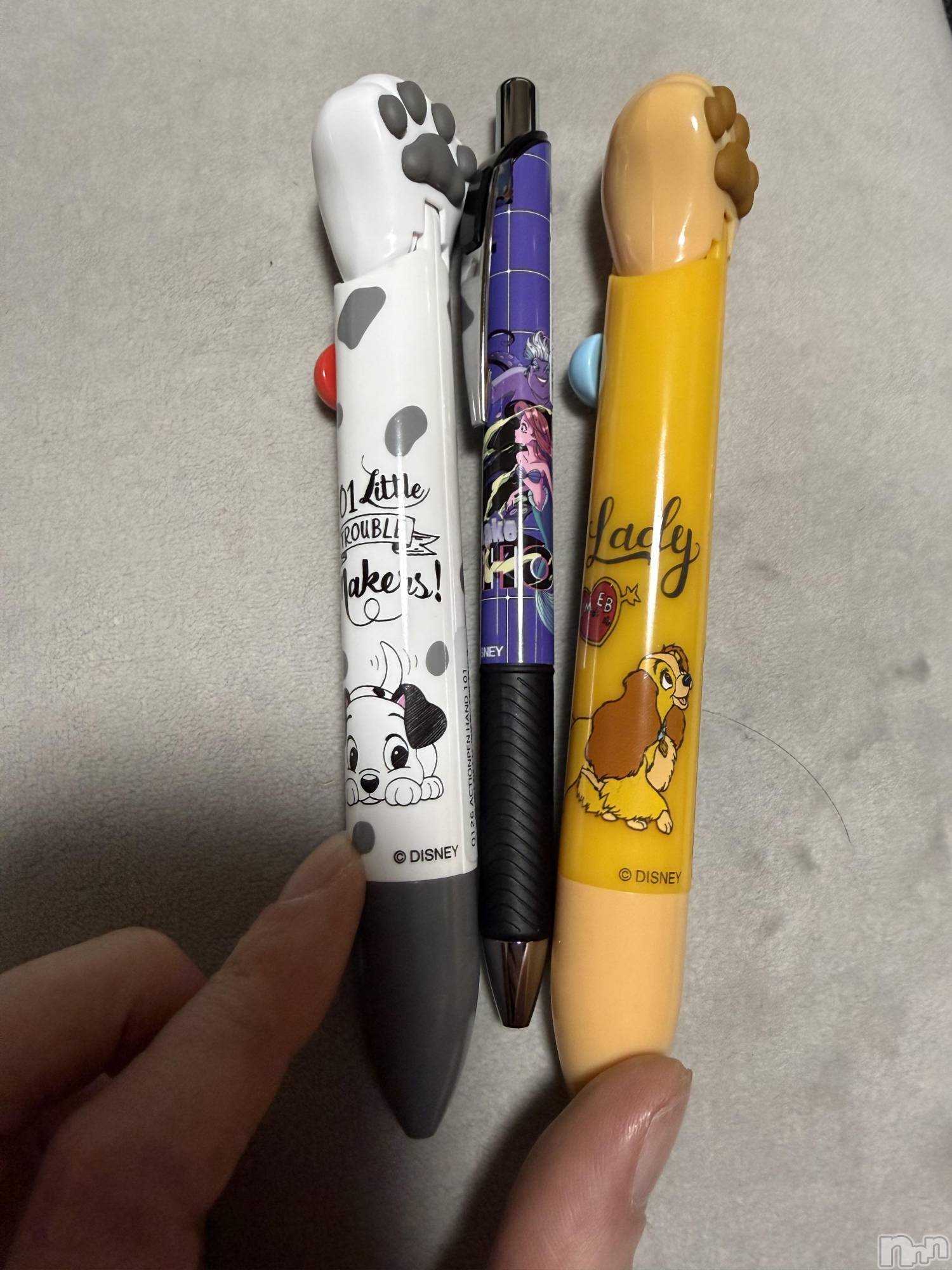 ĮХ顦֥ ץ ( ץ ) 2025ǯ1125̥֥֡