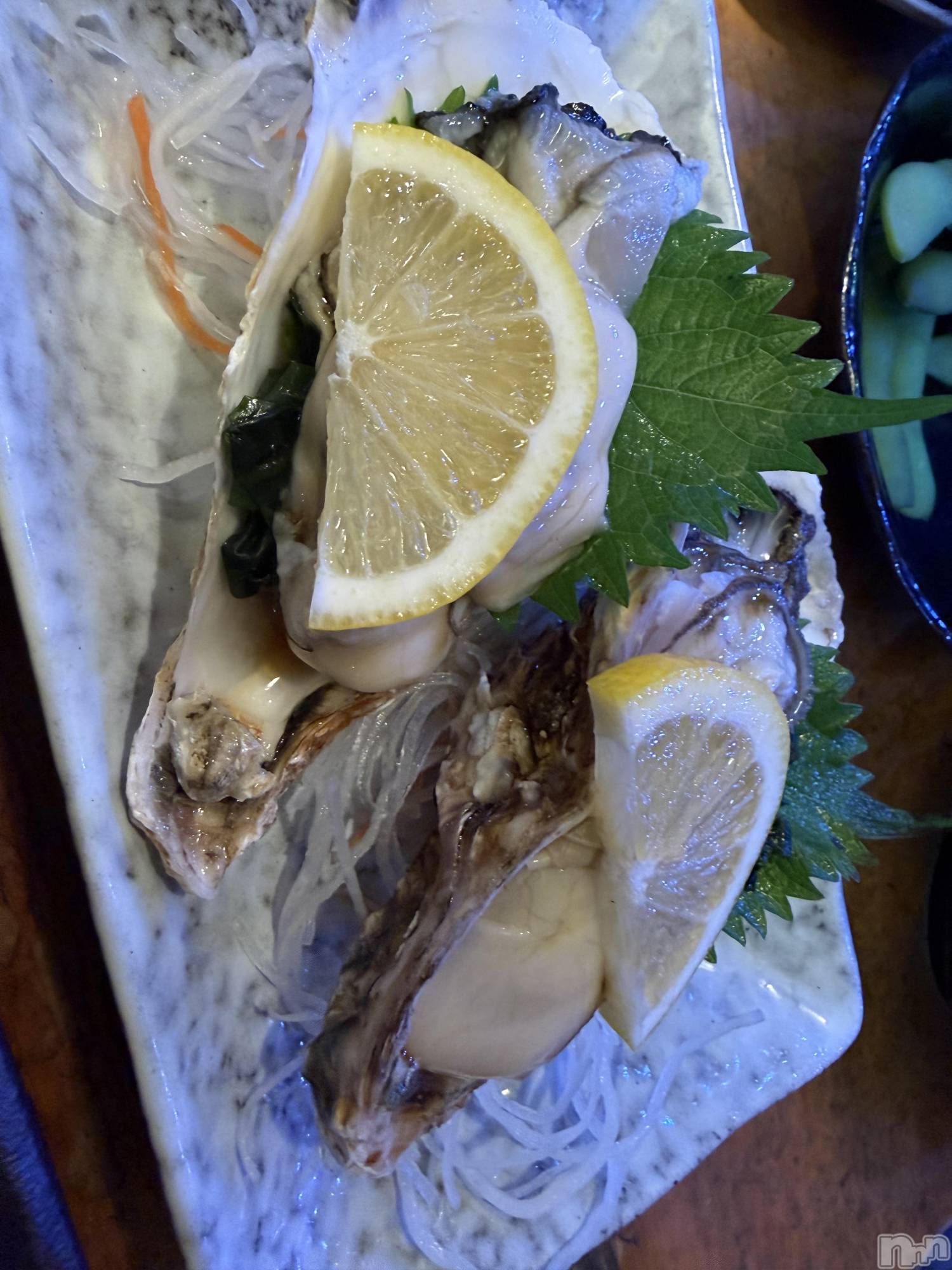 ĮХ顦֥ ץ ( ץ ) 2025ǯ1126̥֥֡