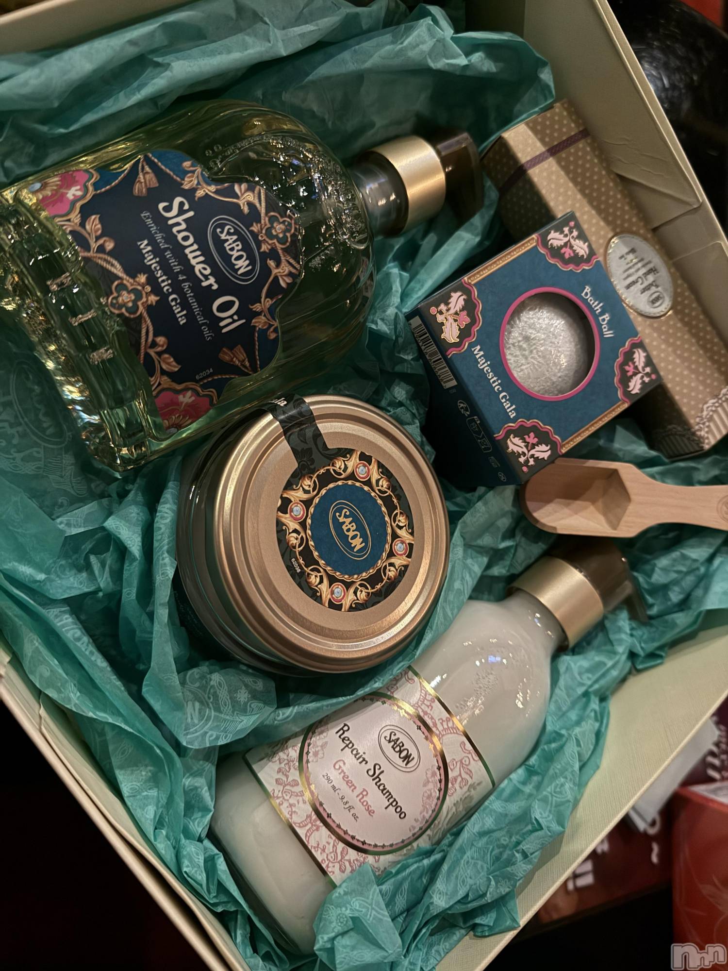 ĮХ顦֥ ץ ( ץ ) 2025ǯ1126̥֥֡