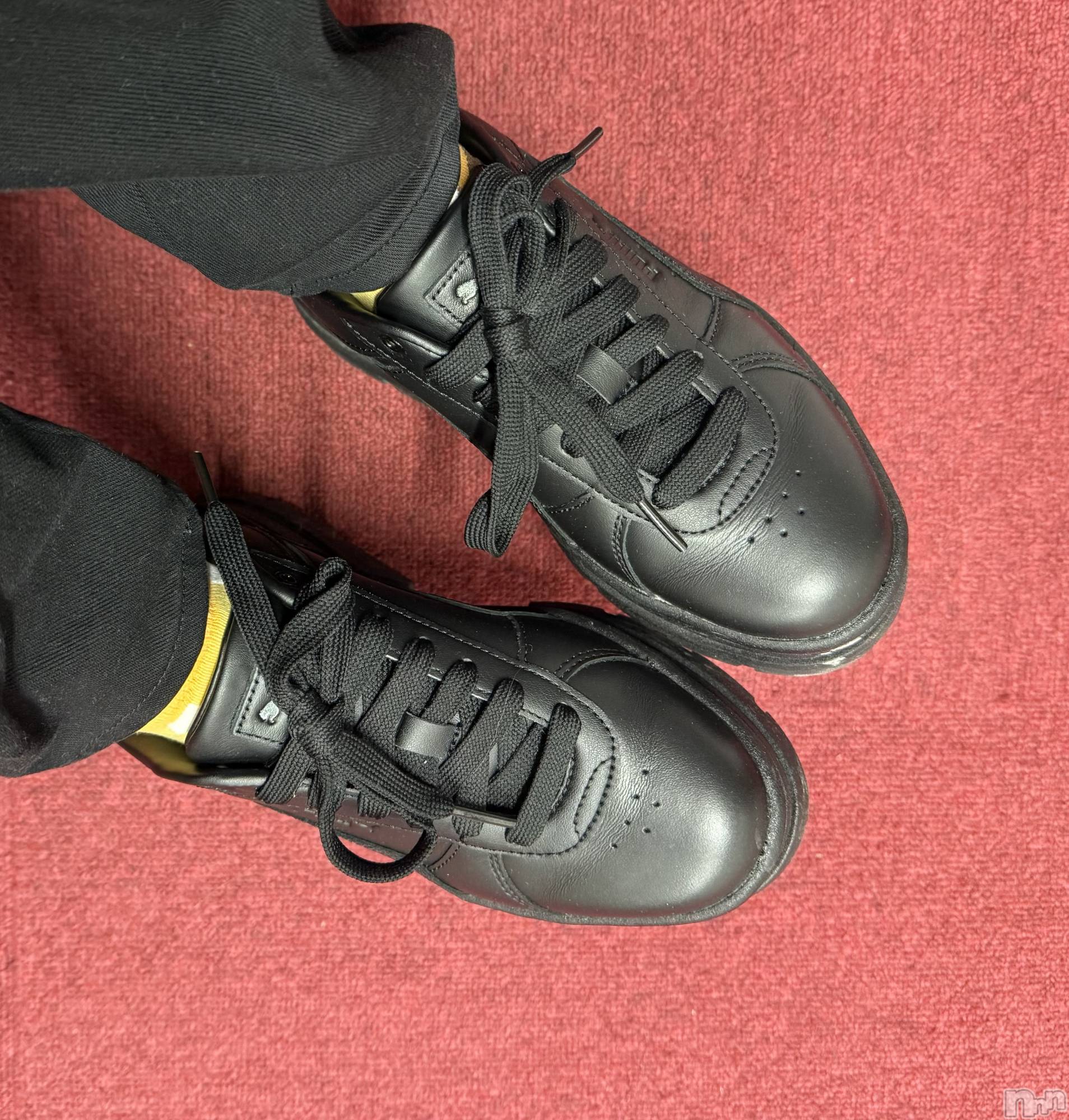 ĮХ顦֥ ץ ( ץ ) 2025ǯ1130̥֥֡