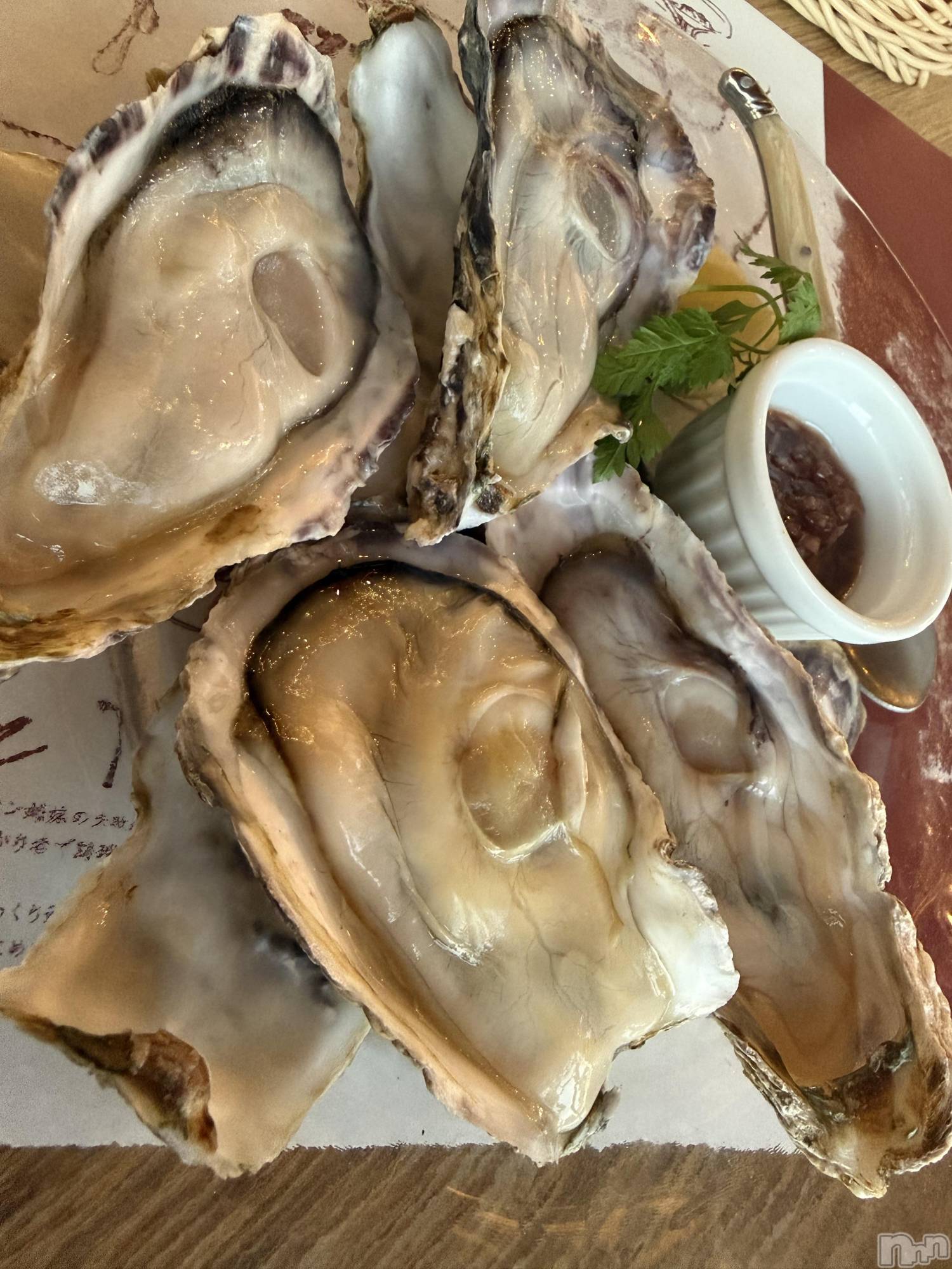 ĮХ顦֥ ץ ( ץ ) 2025ǯ121̥֥֡