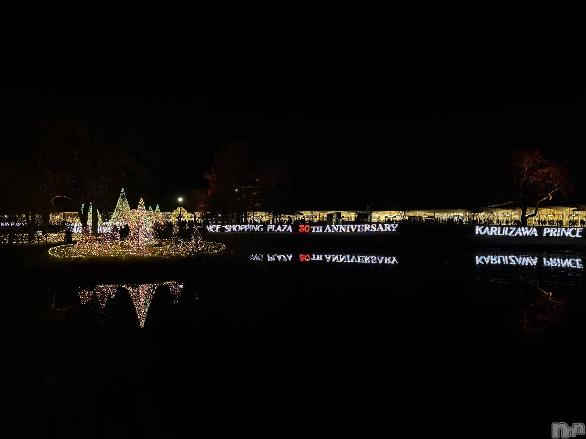 ĮХ顦֥ ץ ( ץ ) 2025ǯ122̥֥֡