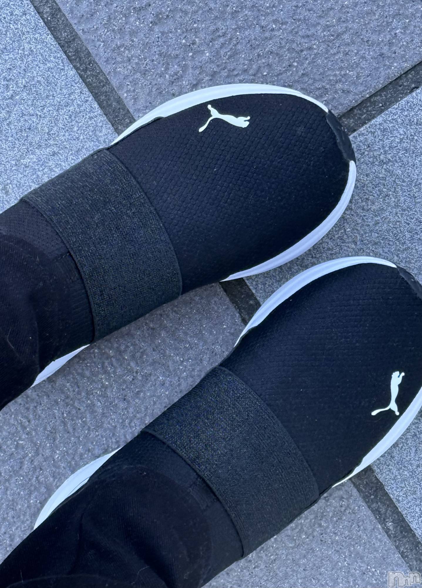 ĮХ顦֥ ץ ( ץ ) 2025ǯ123̥֥֡